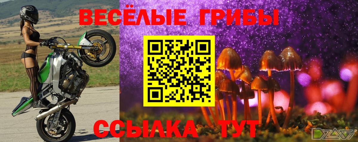 Галлюциногенные грибы MAGIC MUSHROOMS  Вход с VPN  Волгоград 