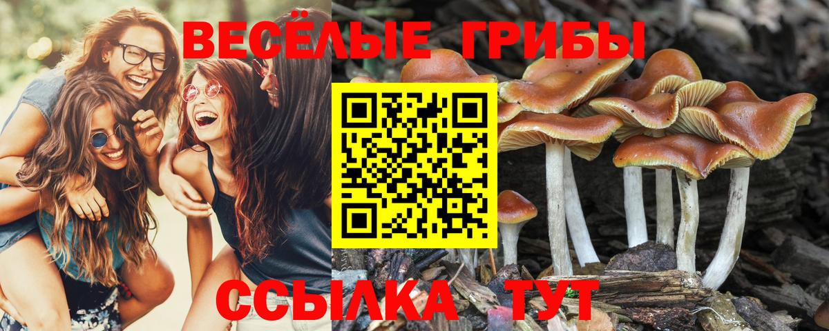 Галлюциногенные грибы MAGIC MUSHROOMS Волгоград